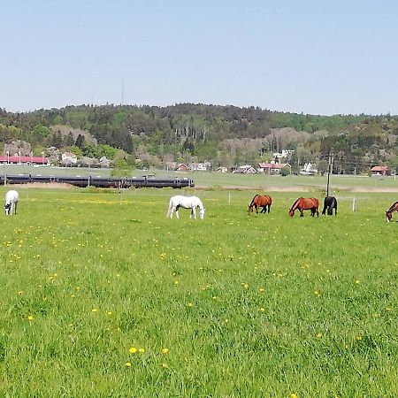 Stuga Pa Hammarbergs Gard Kungsbacka Exterior photo